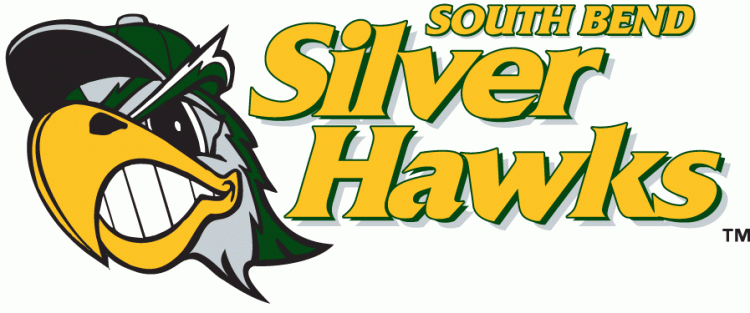 South Bend Silver Hawks 2009-pres primary logo iron on transfers for T-shirts